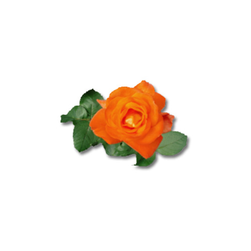 Ambulanter Pflegedienst EIRA Logo