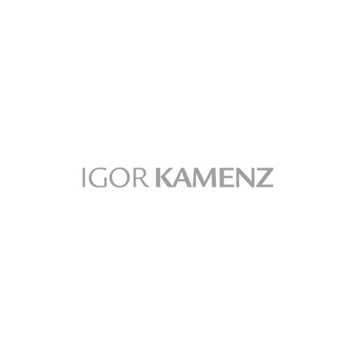 Igor Kamenz Logo